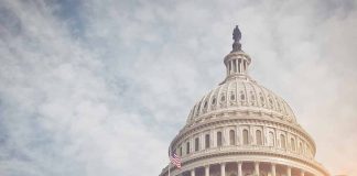 Unexpected Challenger Emerges in Minnesota’s Heated Senate Race