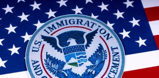 US Immigration and Customs Enforcement badge on flag