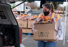 Person carrying food bank box to car
