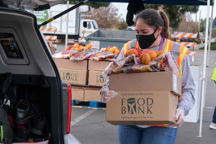 1870001095 featured image Person carrying food bank box to car