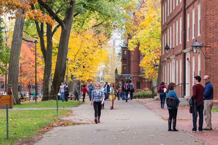 193437935 featured image People walking on a college campus in autumn
