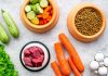 Vegetables meat dry kibble and eggs arranged on surface