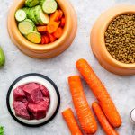 Vegetables meat dry kibble and eggs arranged on surface