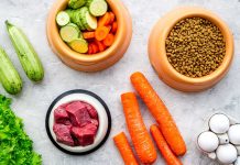 Vegetables meat dry kibble and eggs arranged on surface