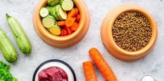 Vegetables meat dry kibble and eggs arranged on surface