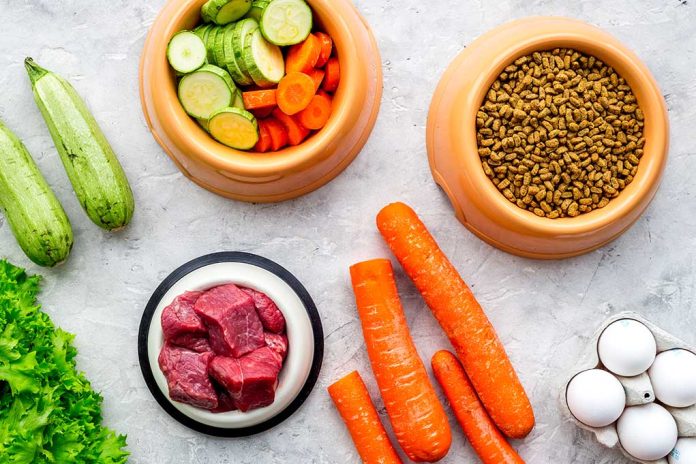 1050125489 featured image Vegetables meat dry kibble and eggs arranged on surface