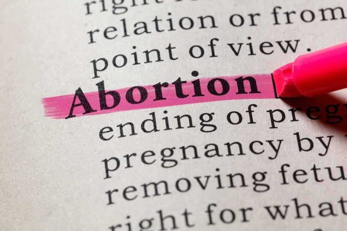 Abortion highlighted in a dictionary with a pink marke