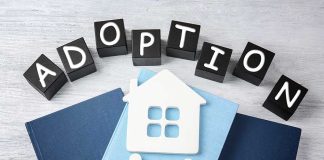 Adoption blocks books house and family paper cutouts