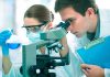 Two scientists conducting an experiment in a laboratory, one looking through a microscope and the other holding a flask with blue liquid