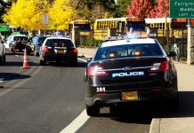 Police cars and school buses on a road