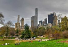 SHOCKING Citizenship Revocation Rumor Sparks Outrage People relaxing in a park, city skyline background