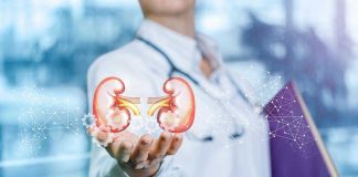 Person holding digital kidney illustration in hand