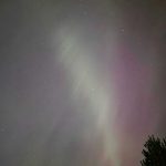 Why Greenland Keeps Coming Up Night sky with Northern Lights and tree silhouette.