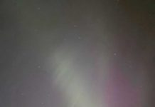 Night sky with Northern Lights and tree silhouette.