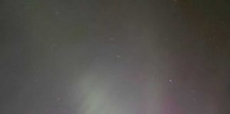 Night sky with Northern Lights and tree silhouette.