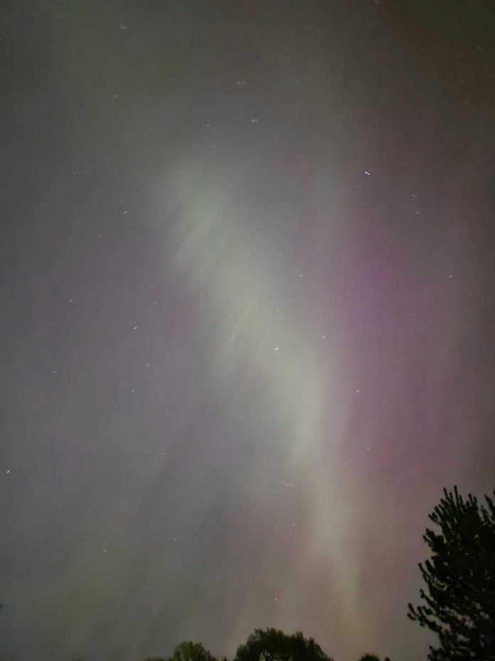 Night sky with Northern Lights and tree silhouette.