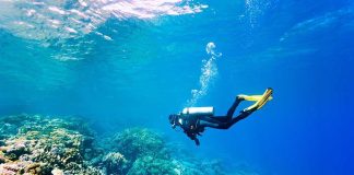 A scuba diver exploring a vibrant coral reef underwater