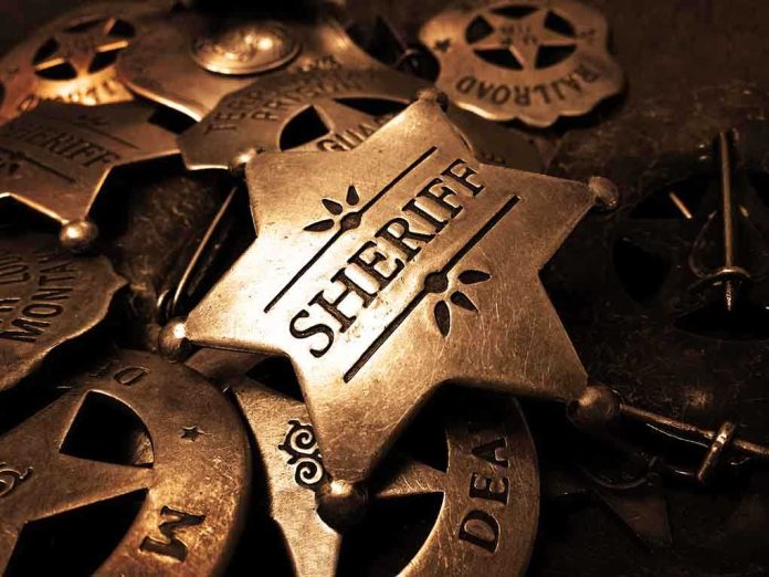 A collection of vintage sheriff badges arranged on a dark surface