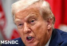 How the “Fascist” Narrative Took Shape