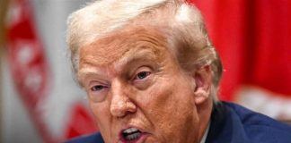 How the “Fascist” Narrative Took Shape