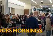 TSA Officers VANISH — Airports Descend Into Chaos TSA Officers VANISH — Airports Descend Into Chaos