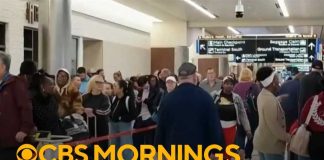 TSA Officers VANISH — Airports Descend Into Chaos
