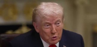 CNN Takeover Pending—CEO Honors Trump