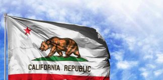California Union Uses Green Law to Block Return-to-Office Order California Republic flag waving against blue sky.
