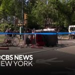 Passenger thrown from horse carriage in Central Park, critically injured
