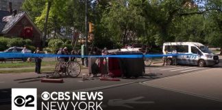 City Hall Stampede—Jobs On The Chopping Block Passenger thrown from horse carriage in Central Park, critically injured