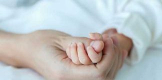 Adult hand holding a babys hand tightly