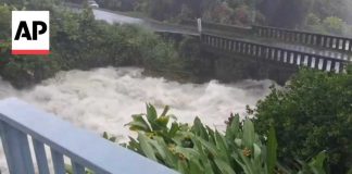 Hawaii Downgrade That Still Kills Hawaii hit with torrential rain as Hurricane Lala weakens to Tropical Storm