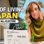 Japan Electricity Prices: Is All Denka Worth It?