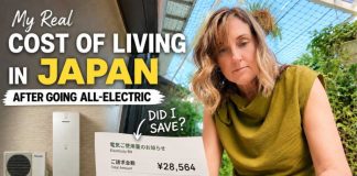Electricity Shock Hits Three-Year High Japan Electricity Prices: Is All Denka Worth It?