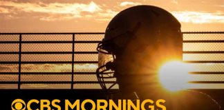 NFL Brain Crisis: Shocking New Count Breaking down the shocking new data on CTE
