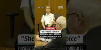 Insanity Bombshell Rattles Filicide Cases Prosecutors say Lindsay Clancy is criminally responsible for her children's deaths