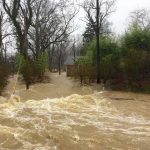 Hawaii Downgrade That Still Kills Flooded residential street with fast-moving muddy water