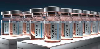 COVID-19 vaccine vials arranged in rows on illuminated shelves