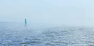 Green buoy in foggy sea